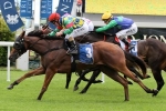 No Doubt, Kendrick Wants Stakes Win with Filly No Doubt, Kendrick Wants Stakes Win with Filly