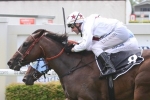 Blueberry Hill specked in the betting for Tattersall’s Club Tiara Blueberry Hill specked in the betting for Tattersall’s Club Tiara
