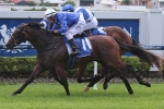 Hijack Hussy On Top Of Magic Millions Guineas Betting
