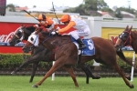 Le Cap big shortener for Ramornie Handicap Le Cap big shortener for Ramornie Handicap