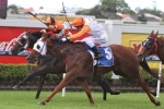 Le Cap big shortener for Ramornie Handicap