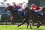 Kaiser Franz Claims Upset Win in Premier’s Cup Kaiser Franz Claims Upset Win in Premier’s Cup