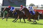 Grafton Guineas Likely for Flow