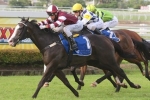 Heathcote goes for 2kg claim for Jopa at Sunshine Coast