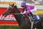 Jumbo Prince overdue for win in Grafton Cup