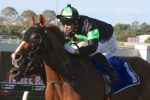 Sir Moments to target 2016 Stradbroke Handicap