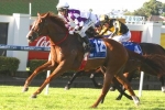 Money For Gundy Spirit In Eye Liner Stakes Betting Money For Gundy Spirit In Eye Liner Stakes Betting