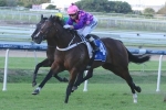 Rocket To Glory To Lead Victory Stakes Field