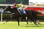 Gollan Pair among Tattersall’s Mile nominations