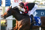 Worthy Cause primed for bold first up run in Ascot Handicap