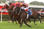 Weights to determine Cylinder Beach’s Villiers Stakes Fate Weights to determine Cylinder Beach’s Villiers Stakes Fate