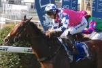 Fell Swoop draws out wide in 2016 BTC Cup Fell Swoop draws out wide in 2016 BTC Cup