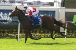Vandyke looking for change of luck with Maurus in Ipswich Cup