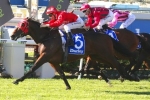 Charlie Boy Fresh for Magic Millions Sprint