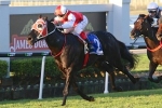 Kuro No Certainty To Contest McEwen Stakes