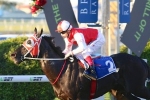 Blinkers give Kuro the edge in Mick Dittman Plate Blinkers give Kuro the edge in Mick Dittman Plate
