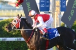 Blinkers give Kuro the edge in Mick Dittman Plate