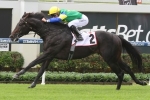 Agitate leads all the way to win Mick Dittman Plate Agitate leads all the way to win Mick Dittman Plate