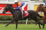 Bigger Eagle Farm track to help Amexed in Queensland Derby