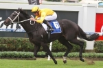Brazen Beau To Trial Before The Run To The Rose Resumption