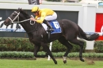 Brazen Beau On Top Of 2014 J.J. Atkins Field Brazen Beau On Top Of 2014 J.J. Atkins Field