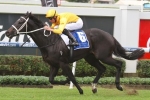 Waller Full Of Praise For Roman Consul Stakes Field