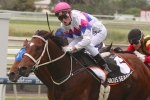 Famous Seamus gives the mile another go in the Scone Cup Famous Seamus gives the mile another go in the Scone Cup