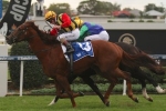 Pure Purrfection scores consolation win for Gollan in Bribie Handicap