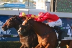 2016 BTC Cup winner Malaguerra returns to best form 2016 BTC Cup winner Malaguerra returns to best form
