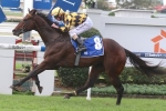 Havana back in winner’s stall in Fred Best Classic Havana back in winner’s stall in Fred Best Classic