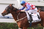 Streama scores 4th Group 1 win in 2014 Doomben Cup victory