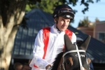 Pike hoping to sneak Sancerre into Queensland Oaks field Pike hoping to sneak Sancerre into Queensland Oaks field