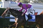 Latta Hoping For Rain Ahead Of Brisbane Cup Latta Hoping For Rain Ahead Of Brisbane Cup