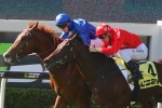 JJ Atkins On The Agenda For Hampden Stakes Winner Archives JJ Atkins On The Agenda For Hampden Stakes Winner Archives