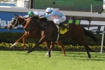 Magic Millions Cup Destination for Snippets Land