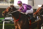 Boban still a chance with 58kg in Stradbroke Handicap