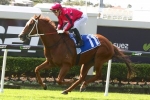 Into The Red back in winning mode in Ascot Handicap