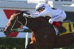Look To The Stars takes out BRC Sires’ Produce Stakes Look To The Stars takes out BRC Sires’ Produce Stakes