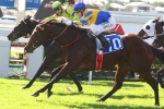 Peace Force ruled out of Tattersall’s Club Tiara