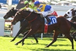 Peace Force Still On Track For Tatt’s Tiara