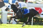 Moody to have double attack in Queensland Derby