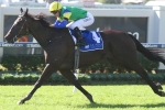 Schweida Happy With Cape Kidnappers Ahead Of George Moore Stakes Schweida Happy With Cape Kidnappers Ahead Of George Moore Stakes