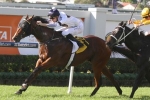 Doomben 10000 still on the agenda for Time For War