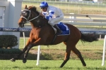 2014 Queensland Derby Tips: Vilanova The Horse To Beat