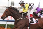Premier’s Cup to Brisbane Cup for Precedence