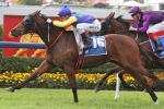 Berry Expects Sookie To Be Hard To Beat In The Canterbury Classic Berry Expects Sookie To Be Hard To Beat In The Canterbury Classic