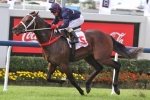Zoustar not fully wound up for the Run To The Rose
