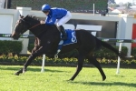 Ghisoni to be kept to sprint distances in the Spring Ghisoni to be kept to sprint distances in the Spring