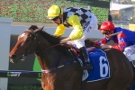 Mighty Lucky back in the winner’s stall in Lord Mayor’s Cup