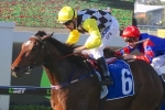Mighty Lucky back in the winner’s stall in Lord Mayor’s Cup Mighty Lucky back in the winner’s stall in Lord Mayor’s Cup